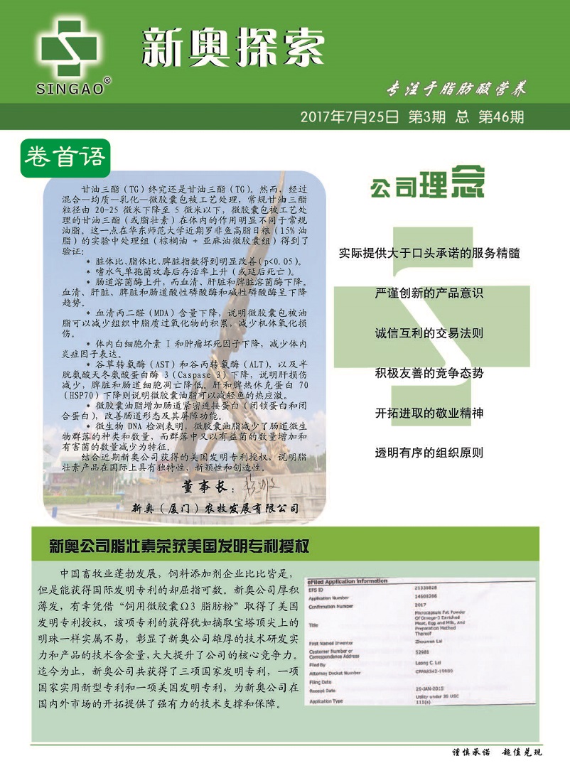 2025新澳正版今晚资料全面释义、解释与落实
